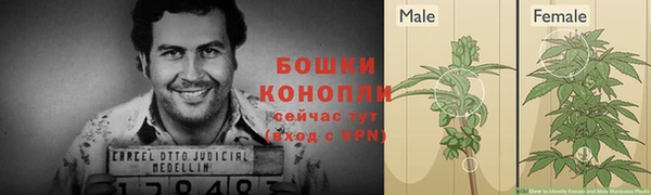 СК Балабаново