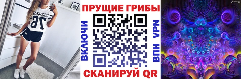цены   Короча  Галлюциногенные грибы Psilocybine cubensis 