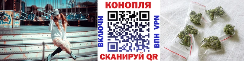 Канабис планчик  Короча 
